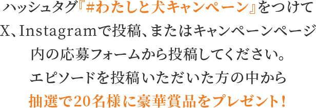 ハッシュタグ『#わたしと犬キャンぺーン』をつけてX、Instagramで投稿、またはキャンペーンページ内の応募フォームから投稿してください。エピソードを投稿いただいた方の中から抽選で20名様に豪華賞品をプレゼント！