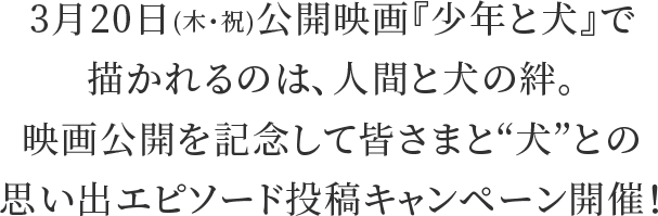 3月20日(木・祝)公開映画『少年と犬』で描かれるのは、人間と犬の絆。映画公開を記念して皆さまと“犬”との思い出エピソード投稿キャンペーン開催！