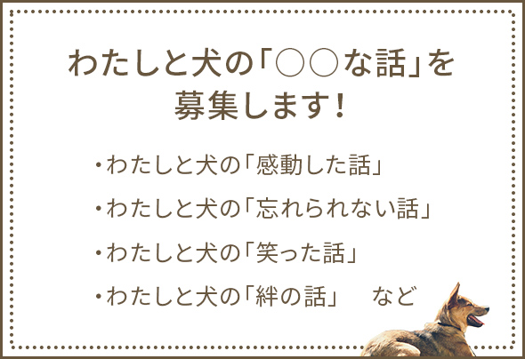 わたしと犬の「○○な話」を募集します！ ・わたしと犬の「感動した話」・わたしと犬の「忘れられない話」・わたしと犬の「笑った話」・わたしと犬の「絆の話」など